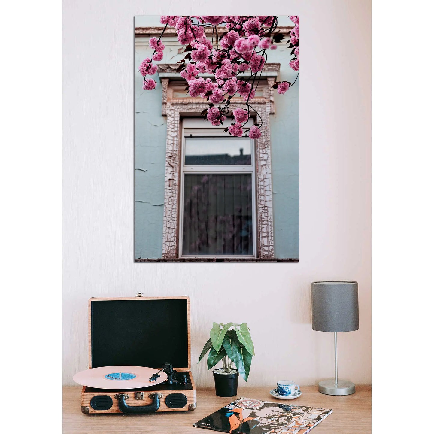 Kirschblüten vor altem Fenster