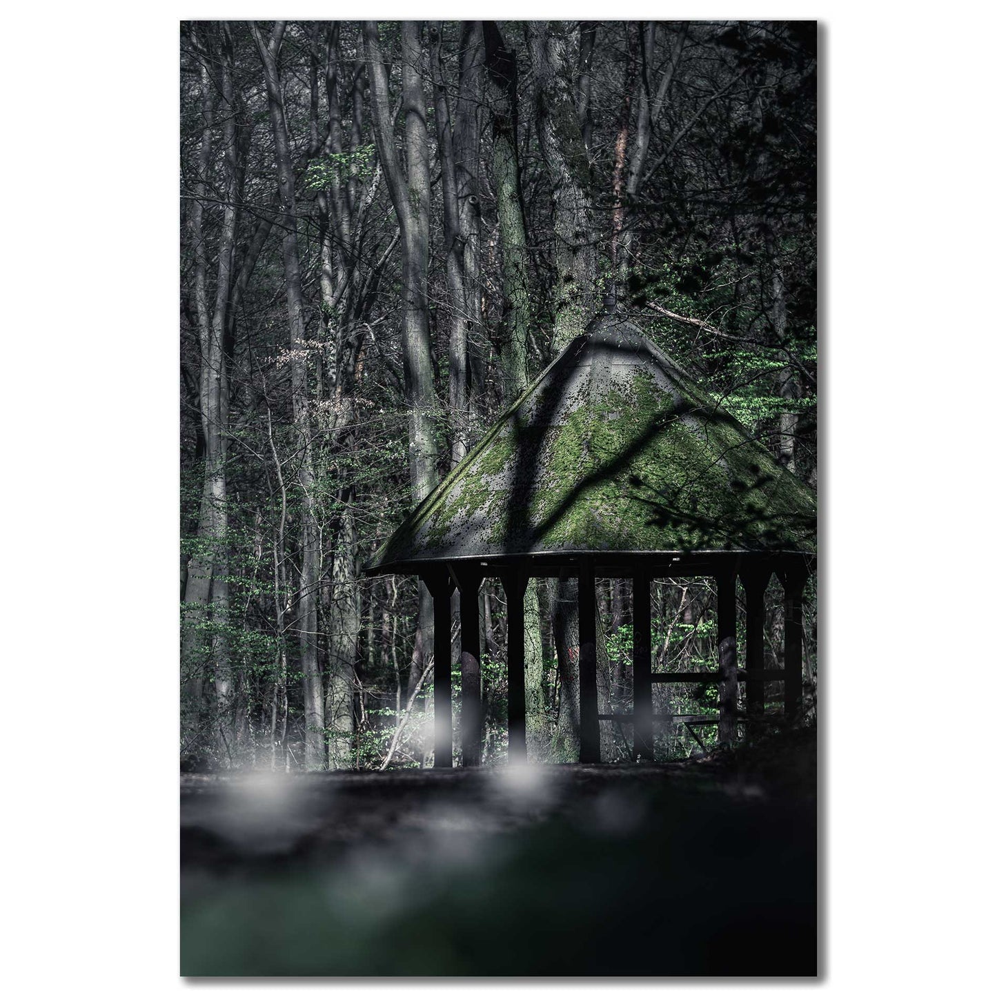 Wabdbild Hütte im kottenforst Bonn