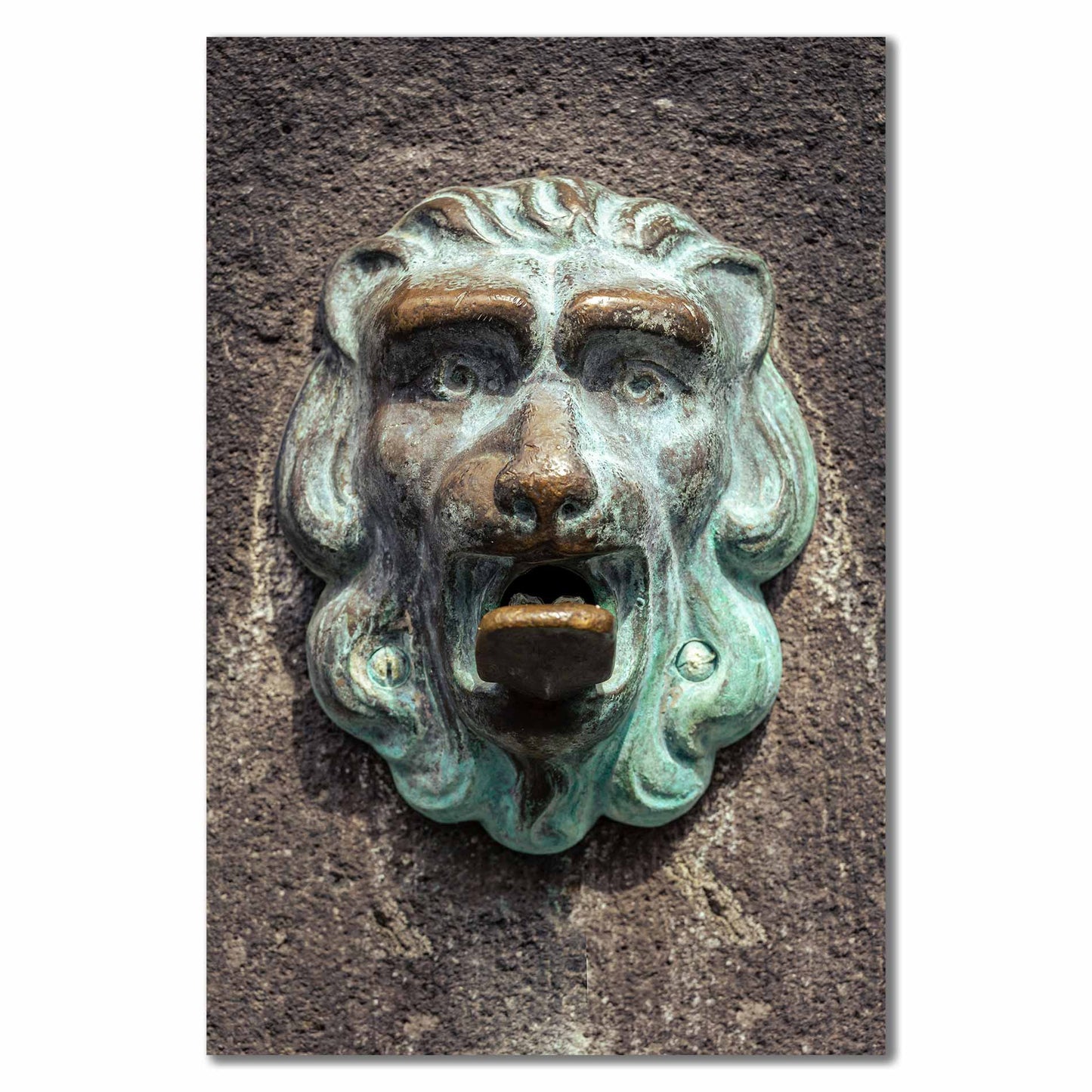 Bild Brunnen Kleiner-Loewe-Bonn