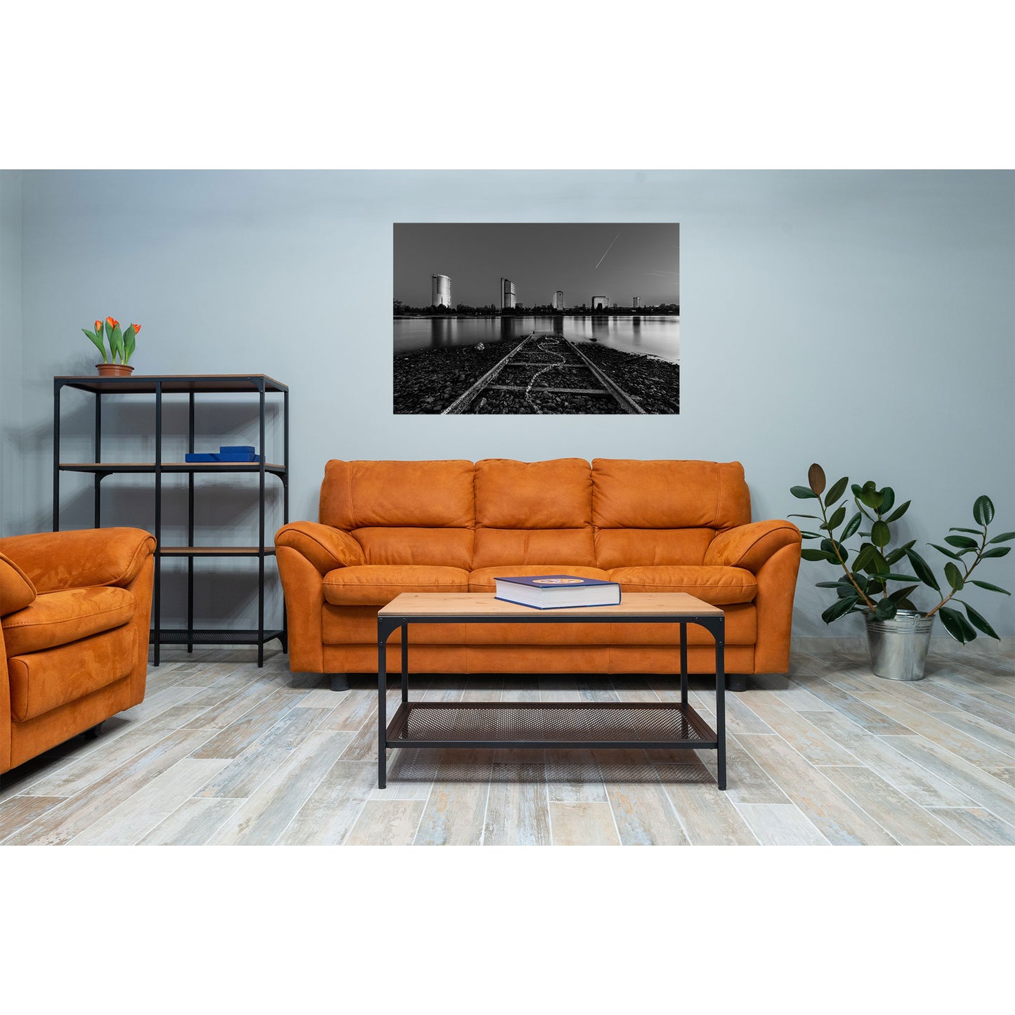 Poster Skyline-von-Bonn