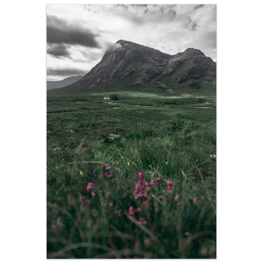 Wee White House - Glencoe